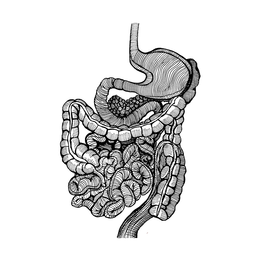 Logo 5