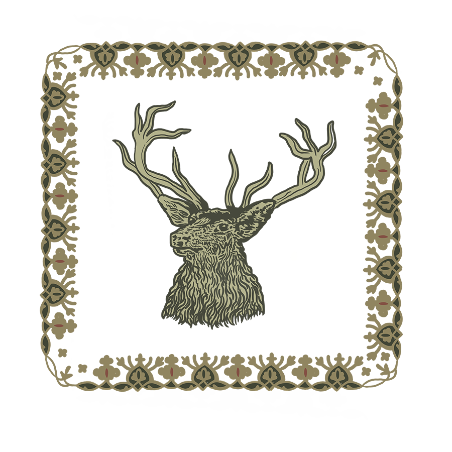 Logo 5