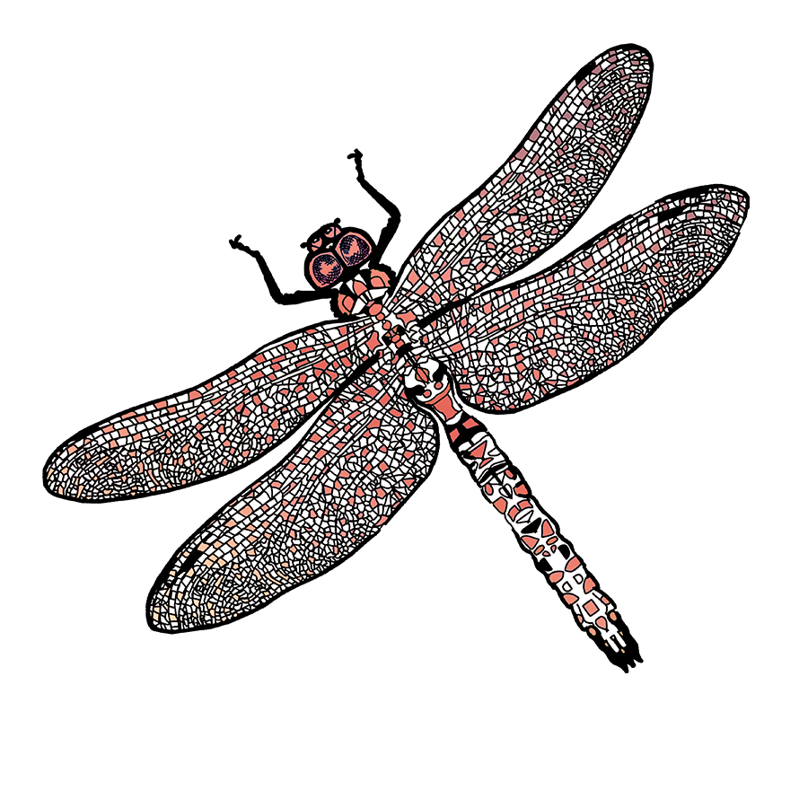 Logo 3