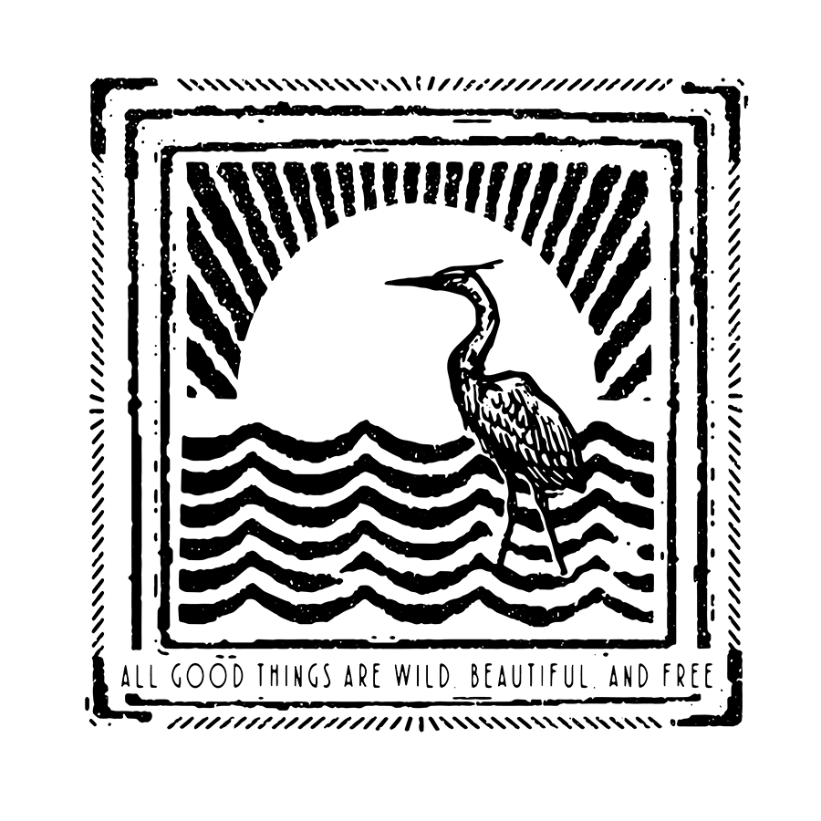 Logo 2